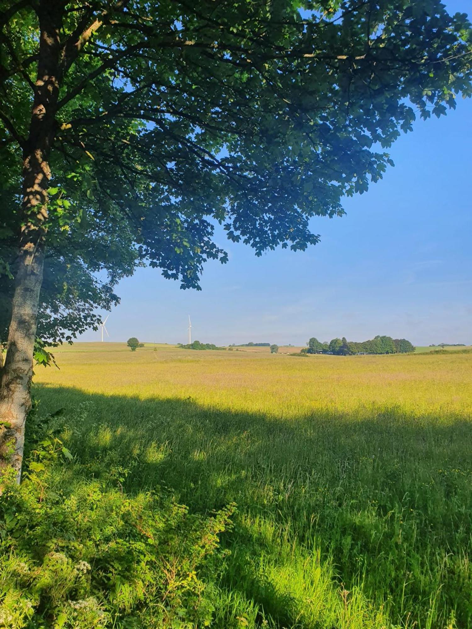 Schoene Aussicht Nettersheim 외부 사진